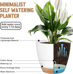 Plant Pots 8/7/6.5/6/5.5/5 Inch Self Watering Pots, Plastic Flower Pots - Image 4