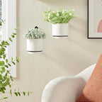 2 Pcs Wall Mounted Hanging Planter Vase - Image 4