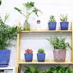 Gepege Succulent Pots, 4 Inch Small Indoor Ceramic Planter Pot - Image 6