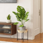 Bamworld Rattan Plant Stand Indoor Boho Plant Table - Image 3