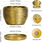 SQOWL Ceramic Planter - Image 3