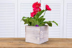 Wooden Planter Box l Rustic Barn Whitewash - Image 3