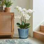 Ceramic Plant Pots - Image 5