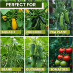 50x50 Cucumber Trellis for Raised Bed - Image 8