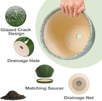 10 Inch Plant Pot - Image 6