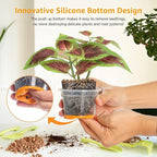 MIXC Thickened Clear Nursery Pots - Image 3