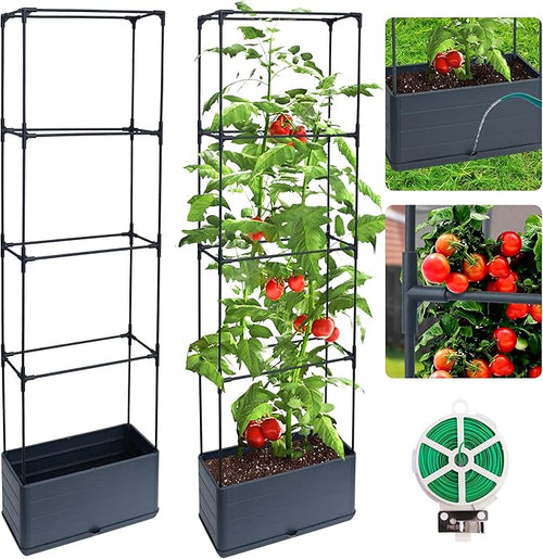 2 Packs Raised Garden Bed Tomato Planter Box by Biotolot