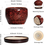 SQOWL Ceramic Pot for Plants - Image 3