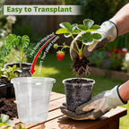 MIXC Clear Nursery Pots with Drainage Holes, 7/5/4/3.5 Inch Reinforced - Image 4