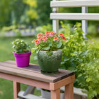 6 Inch Plant Pot - Image 4