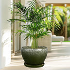 10 Inch Planter Pot - Image 6