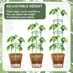 12 Pack Plant Support Stakes Sets - Image 3