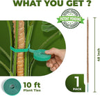 48 Inch Bendable Moss Pole Monstera Plant Support - Image 2
