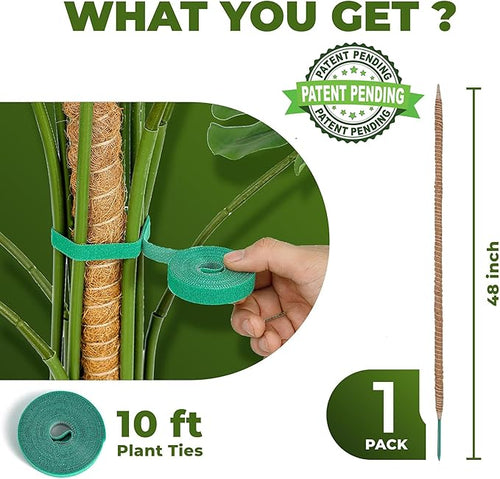 48 Inch Bendable Moss Pole Monstera Plant Support - Image 2