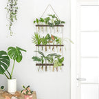 Mkono Plant Propagation Tubes, 3 Tiered Wall Hanging Terrarium - Image 3