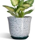 5.6 Inch Plant Pot by SUNPOTFOR