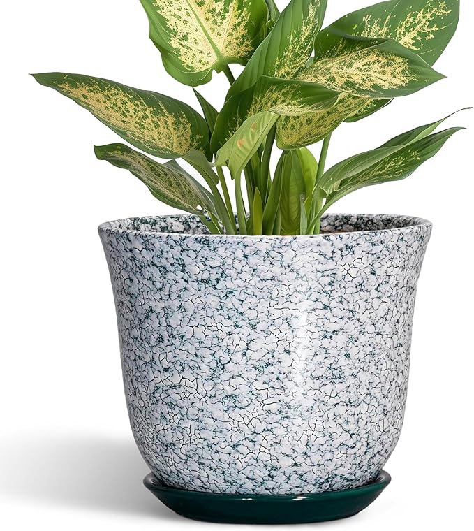 5.6 Inch Plant Pot by SUNPOTFOR