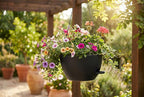 Hanging Planters, Matte Plastic Planters - Image 4