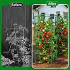 3 Pack Square Tomato Cages for Garden, 42 Inches Heavy Duty Metal Tomatoes - Image 6