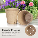 VIVOSUN Peat Pots, 60 Packs 3.15-Inch Seed Starting Pots - Image 6