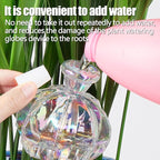 Self Watering Planter Insert. Plant Watering Devices. Plant Watering Bulbs. - Image 3