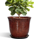 Ceramic Pots for Plants by SUNPOTFOR