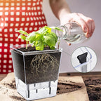 Self Watering Pots Set, 3 Pack 2.7 Inch Pots - Image 7