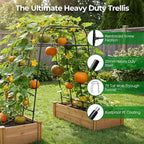 Garden Arch Trellis for Climbing Plants, Metal Cucumber & Tomato Cage, - Image 3