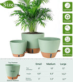 8/10/12 Inch Self Watering Pots - Image 3