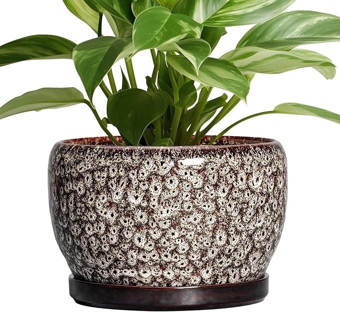 SQOWL Ceramic Planter by SQOWL