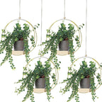 Geelin 4 Pack Plant Hanger by Geelin