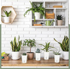 10 Pcs 3 Inch Self Watering Pots Self Watering Planters - Image 6
