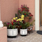 5 Pack Metal Plant Stands for Multiple Plant, Heavy Duty Flower Pot Stands for - Image 6