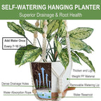 Hanging Planters with Macrame Plant Hangers - Image 3