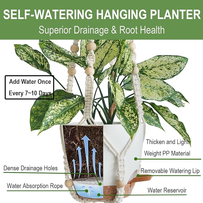 Hanging Planters with Macrame Plant Hangers - Image 3