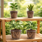 16 Pack 10/8/6/5 Inch Reinforced Large Clear Nursery Pots - Image 6