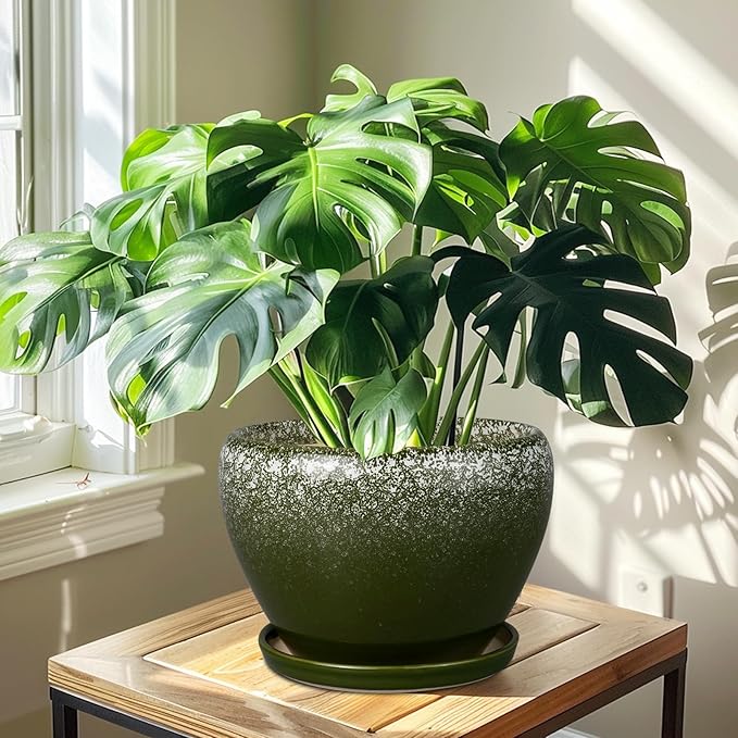 10 Inch Planter Pot - Image 7