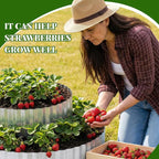 Pyramid Garden Kit, Strawberry garden Planter, 6 ft Diameter Base, Includes 3 - Image 5