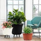 5 Pack 8.5 inch Plant Pot, Outdoor Flower Pots, Plastic pots - Image 7