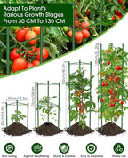 Tomato Cage, Raised Garden Bed Plant Support Stakes - Image 3