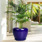 Ceramic Plant Pot 8 Inch - Image 5
