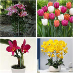 Joyhalo 20 Pack Plant Support Stakes 24 Inch, Plant Stakes, Flower Stakes - Image 7