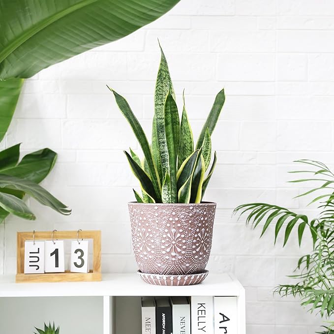 Gepege 8 Inch Plant Pot for Plants, Ceramic Planter - Image 4