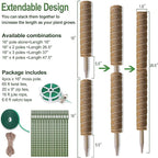 Moss Pole 47.5 Inch - Image 6