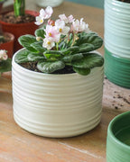 Self Watering Pots for Indoor Plants, 6 Inch Ceramic Self Watering Plant Pot - Image 7