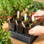 June Fox Square Nursery Pots 3.3 Inches Flexible Plastic Seedling Pots Square - Image 7
