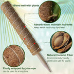 Moss Pole 36 Inch - Image 3
