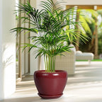 Ceramic Planter - Image 5