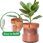 Phoenix Vine 8 Inch Self Watering Planter Pot, Terracotta Clay Pot - Image 4