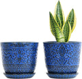 Gepege 6 Inch Ceramic Planter, Birthday by Gepege